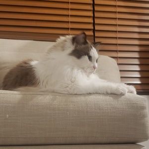 Meet your Posher, Hydia